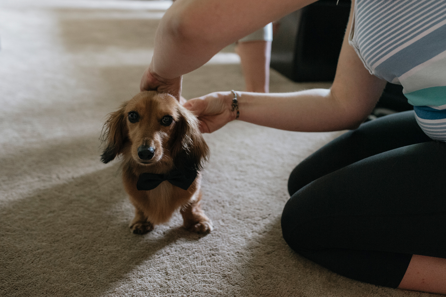 humboldt saskatchewan summer wedding with dogs