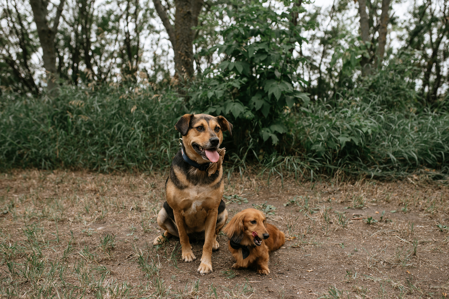 humboldt saskatchewan summer wedding