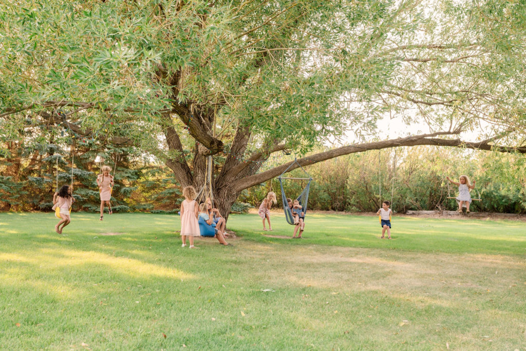all the grandkids on the swings on a big tree in the farmyard