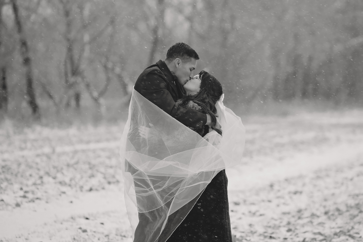 bride and groom kissing in the snow with her veil wrapped around them